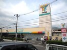 ユアーズ(スーパー)まで190m 慧晃ビル