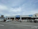 DCMダイキ楽々園店(電気量販店/ホームセンター)まで270m ル・パラディ