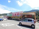 スーパードラッグひまわり瀬野川店(ドラッグストア)まで580m ビラハイツ興和２