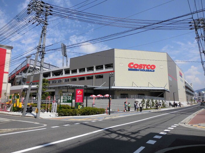 コストコ広島倉庫店(ディスカウントショップ)まで290m 岩堂マンション