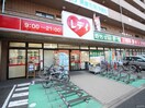 くすりのレデイ 矢野駅前店(ドラッグストア)まで330m 借家