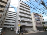 JOYFUL楠木