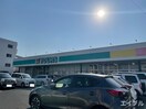 ユアーズ三筋店(スーパー)まで260m 吉山アパート