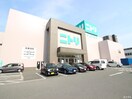 ニトリ(電気量販店/ホームセンター)まで630m ルービンス宇品御幸Ⅱ