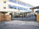 中野小学校(小学校)まで400m ヴェルデ・ホンダ壱番館