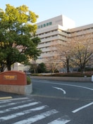 県立広島病院(病院)まで280m アイランドビル６