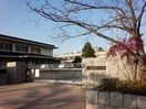 広島市立観音小学校(小学校)まで600m ロフト２４