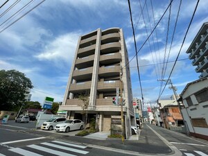 BAUHAUS tenma No.20