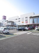 ゆめタウン(ショッピングセンター/アウトレットモール)まで1120m アイランドビル２６