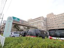 ＪＡ広島総合病院(病院)まで250m ８７ｇアロベスタ串戸