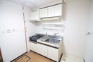 キッチン ダイアパレス大手町第２(502)
