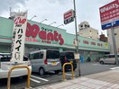 ウォンツ 呉中通店(ドラッグストア)まで1200m DER GLANZ 6th Ave