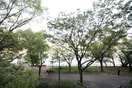室内からの展望 maison felicia