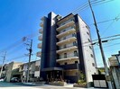 スカイブルー・ヨシの外観
