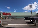 ウォンツ船越店(ドラッグストア)まで180m アゼリア