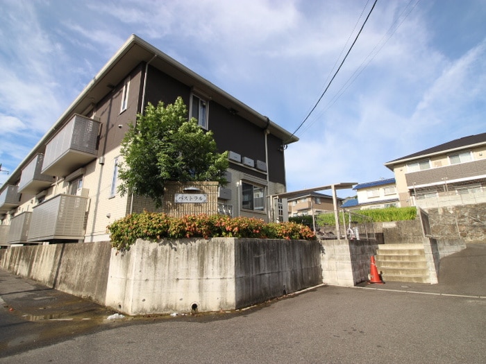 その他 パストラル