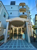 paddy Ⅱ