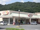 ダイソー フジ三入店(100均)まで240m サンリットヴィラ　Ⅰ