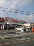 スーパードラッグひまわり 中山店(ドラッグストア)まで1120m プロスパーコバヤシ