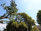 室内からの展望 AFFABILE MIDORI