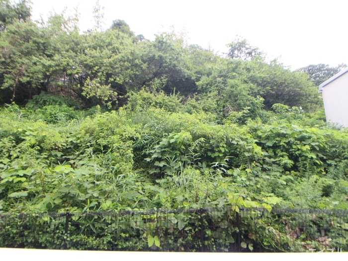 室内からの展望 グラン・シャリオⅠ