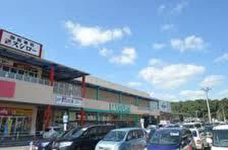 アクロスプラザ(スーパー)まで1590m ルミエール