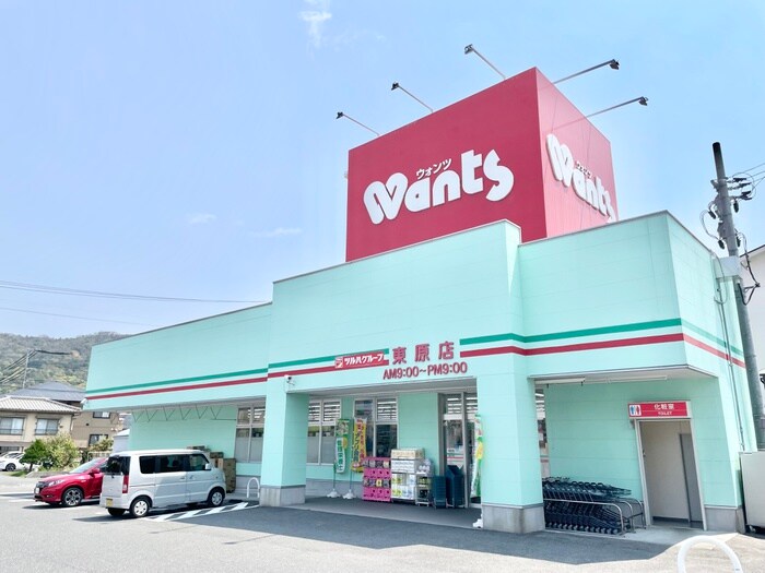 ウォンツ東原店(ドラッグストア)まで600m 藤田荘