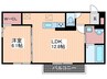 D-room中野 1LDKの間取り
