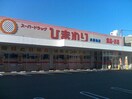 ひまわり呉築地店(ドラッグストア)まで121m mille ans呉海岸