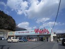 ウォンツ 長楽寺店(ドラッグストア)まで560m エソール長楽寺　Ｃ棟