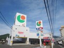 マルショク船越店(スーパー)まで470m サザンクロスⅡ