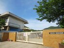 船越幼稚園(幼稚園/保育園)まで340m サザンクロスⅡ