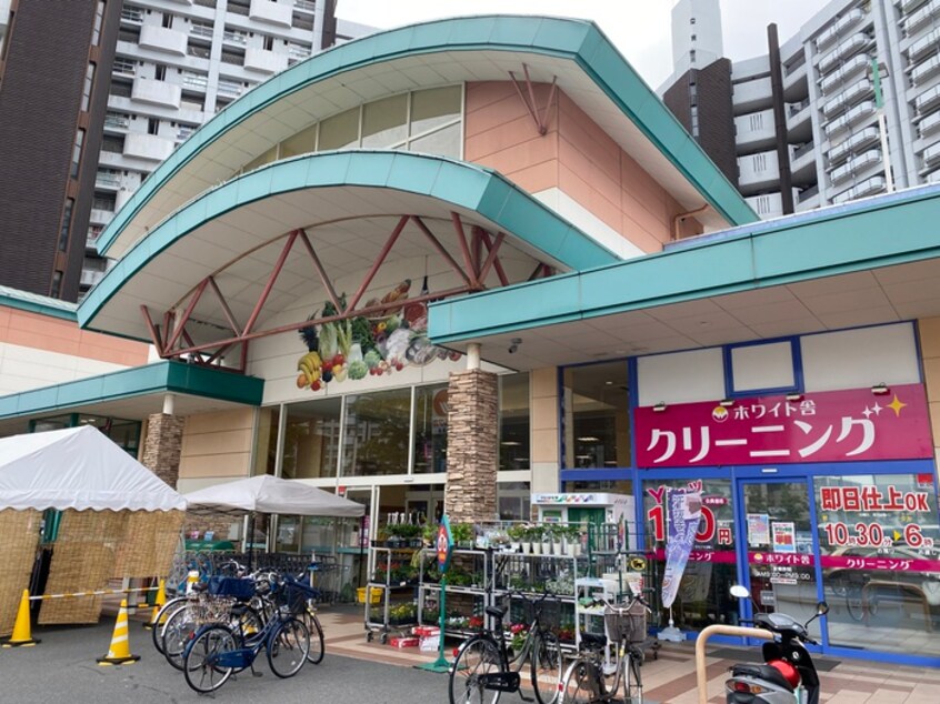 マルナカ 白島店(スーパー)まで850m ルミネ東白島