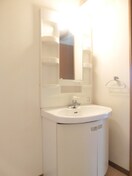 洗面 第一クリスビル