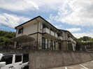 チャイブの外観