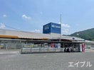 ダイキ(電気量販店/ホームセンター)まで1040m ロータス