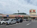 ハローズ海田店(スーパー)まで900m 森本第5ビル