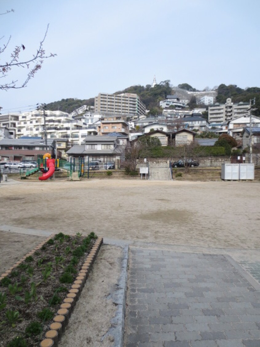 光が丘山根公園(公園)まで240m ライツヴェルノ光が丘B棟