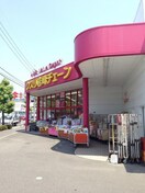 岩崎チェーン(ドラッグストア)まで220m 中央北ハイツ