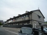 コスモスたけの