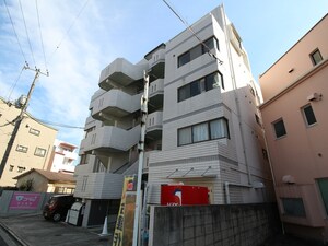ビオラ庚午