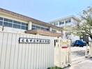 広島市立中筋小学校(小学校)まで800m エルマーナ　B棟