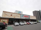 フレスタ廿日市住吉店(スーパー)まで300m アクアコ－ト廿日市