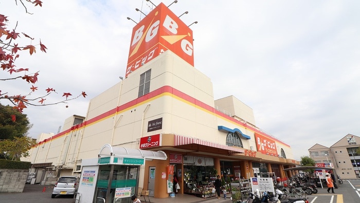 ザ・ビッグ(スーパー)まで230m ＬａｒｇｏＡ
