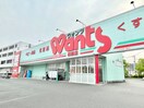 ウォンツ 西原店(ドラッグストア)まで480m グランツ木之元