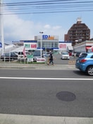 EDION(電気量販店/ホームセンター)まで430m センチュリ－相原