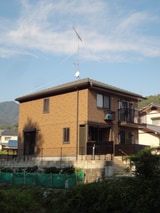 コテ－ジパラム