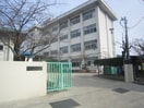 原南小学校(小学校)まで390m 森下ビル
