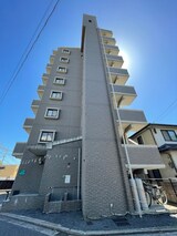 プログレッソ