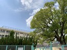 広島市立五日市小学校(小学校)まで230m テラス金子